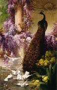 Eugene Bidau A Peacock and Doves in a Garden oil painting artist